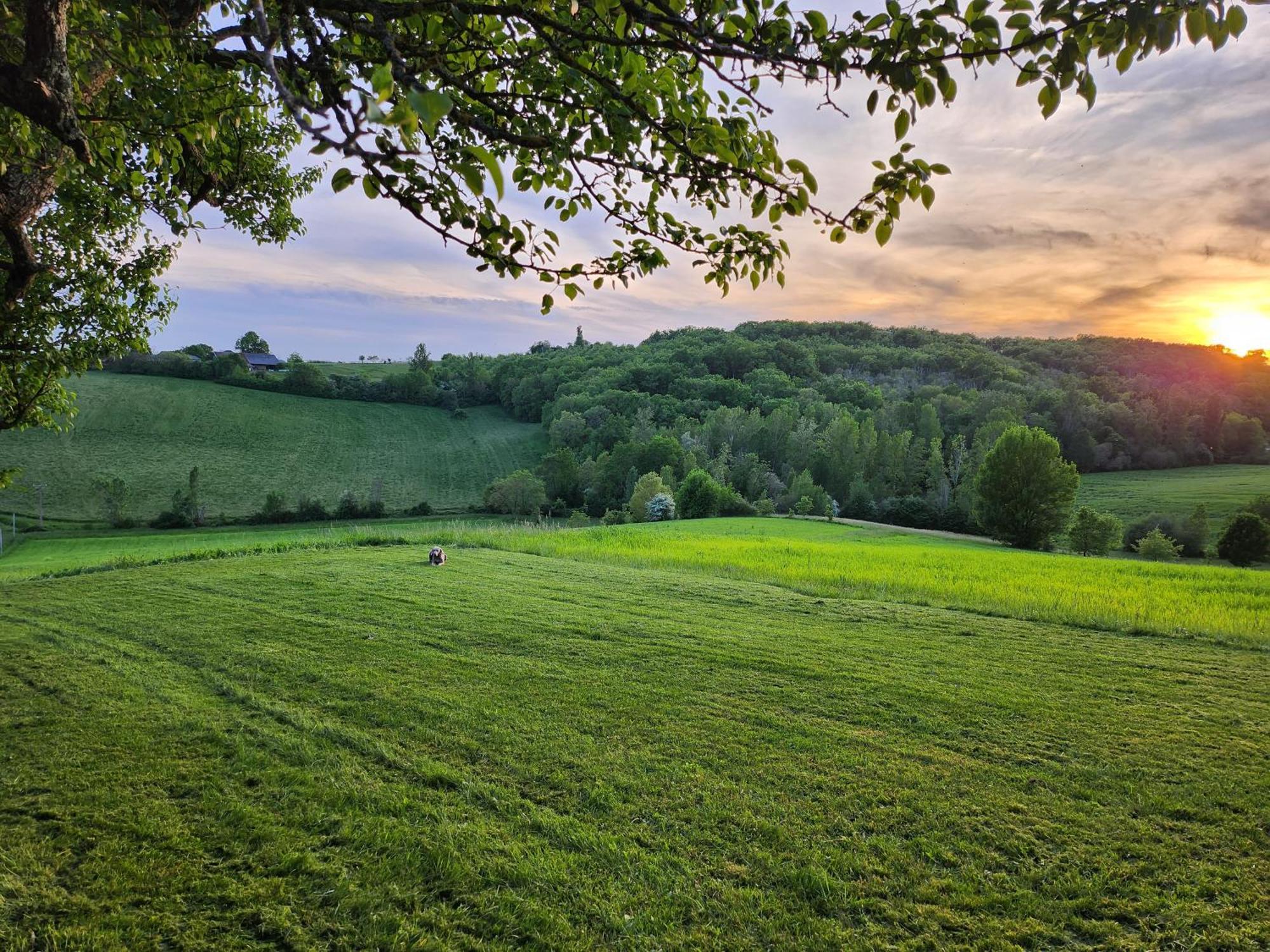 Domaine De Massoulac Molieres  Экстерьер фото